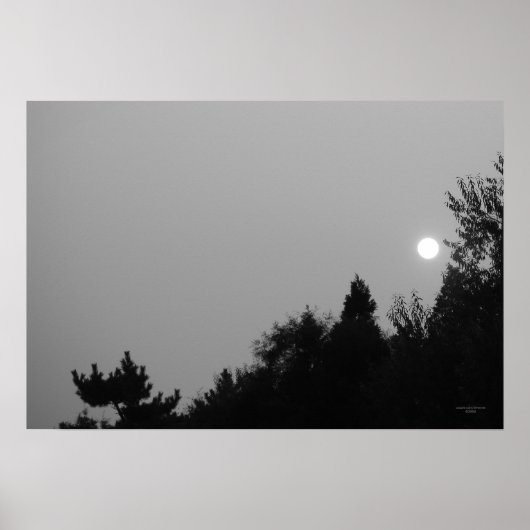 Vervulling: Natuur Zen/Tao-Poster Poster (Voorkant)