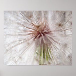 Vervulling wensen poster