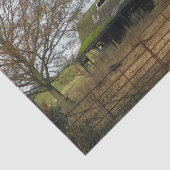 Verwaarloosde Engelse schuur met mos bedekt dak Tissuepapier (Detail)