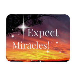 Verwacht dat Miracles Sparkle Sunset snel goed wor Magneet