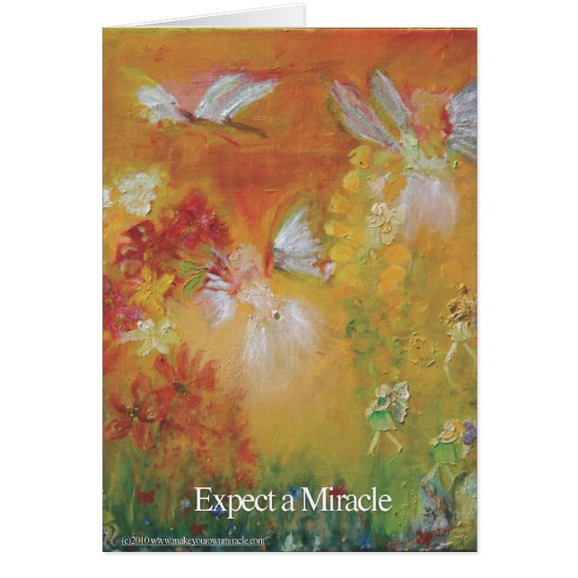 VERWACHT EEN MIRACLE (Voorkant)