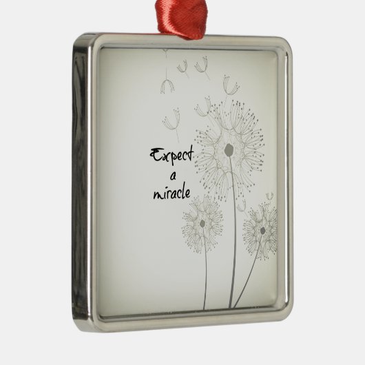 Verwacht een wonder Inspirerend Metalen Ornament (Rechts)