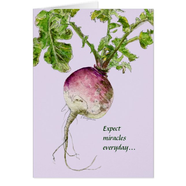 Verwacht elke dag Miracles (Voorkant)