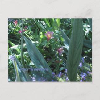 Verwacht het onverwachte briefkaart