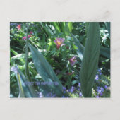 Verwacht het onverwachte briefkaart (Voorkant)