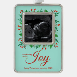 Verwacht meer JOY echogram Verzilverd Omlijst Ornament