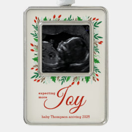 Verwacht meer JOY echogram Verzilverd Omlijst Ornament