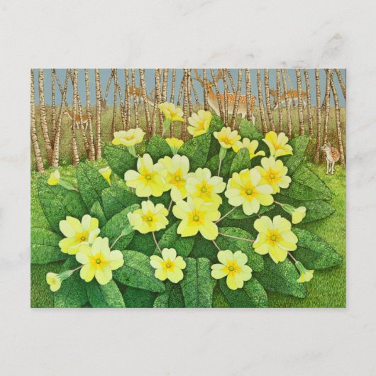 Verwachtend 2011 briefkaart (Voorkant)