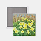 Verwachtend 2011 magneet (Voorkant / Achterkant)