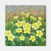 Verwachtend 2011 magneet (Voorkant)