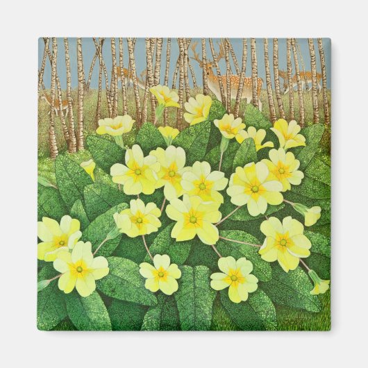 Verwachtend 2011 magneet (Voorkant)