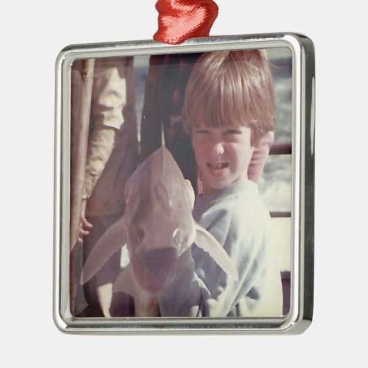 Verwant Herinneringen Metaal Ornament (Links)