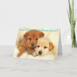 Verwar niet Icyhot Kaart