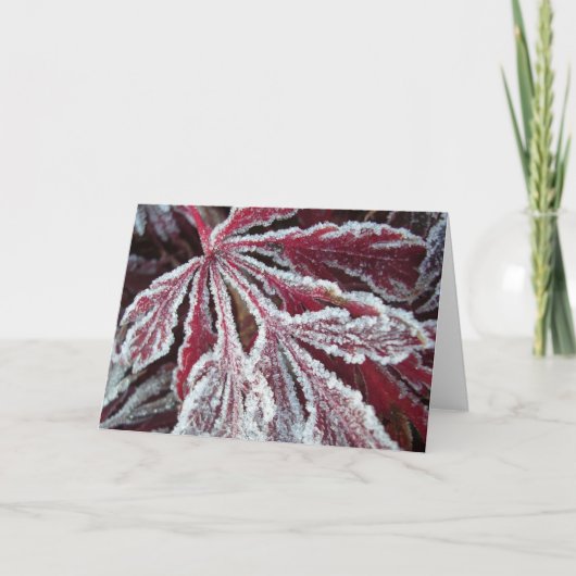 Verward ijzig blad kaart (Voorkant)