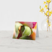 Verward Kaart (Gele Bloem)