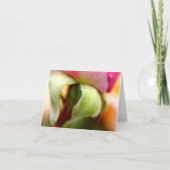 Verward Kaart (Voorkant)