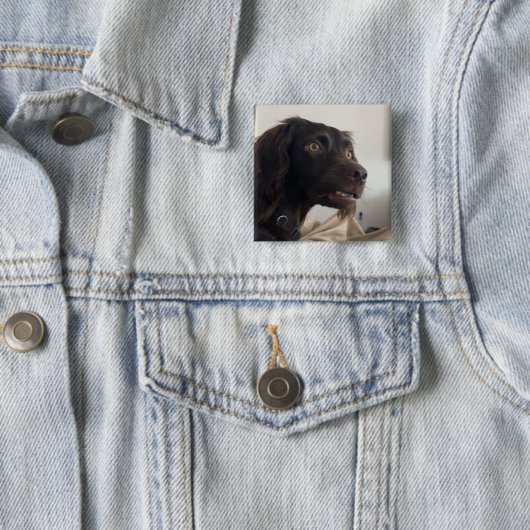 Verwarde Dog Meme Pin Button (In situ)