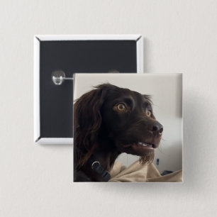 Verwarde Dog Meme Pin Button