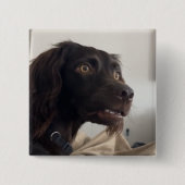 Verwarde Dog Meme Pin Button (Voorkant)