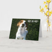 VERWARDE JACK RUSSELL "40ste" VERJAARDAG Kaart (Gele Bloem)