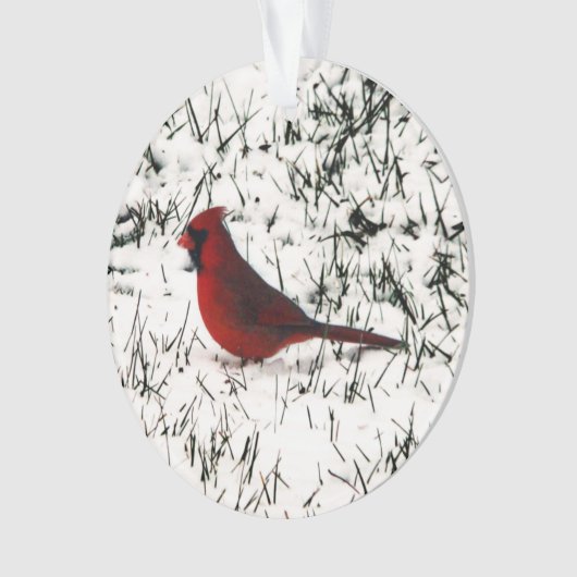 Verwarde kerstkardinaal dubbelzijdig afdrukken ornament (voorkant)