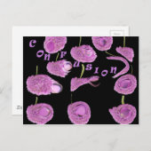 Verwardheid Briefkaart (Voorkant / Achterkant)