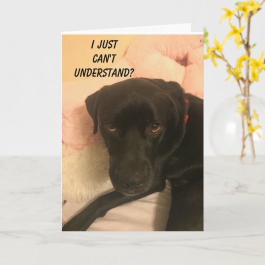 "VERWARMD LAB" KAN NIET GELOVEN DAT JE 70 BENT! KA KAART (Gele Bloem)