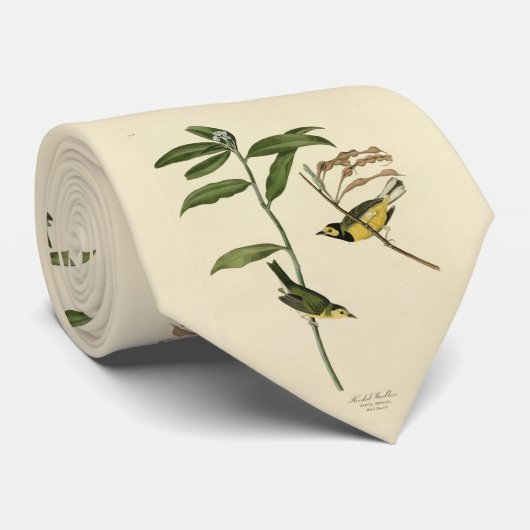 Verwarmd Warbler van de Amerikaanse vogels van Aud Stropdas (Opgerold)