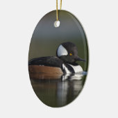 Verwarmde wasmachine in het avondlicht keramisch ornament (Links)