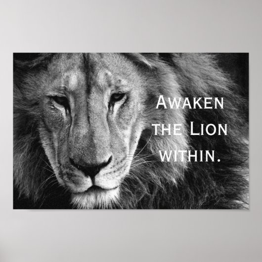Verweek de Lion binnen - Poster (Voorkant)