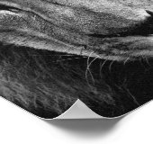 Verweek de Lion binnen - Poster (Hoek)