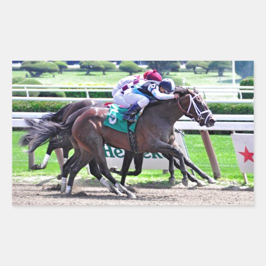 Verweerd door Indiaas Charlie-Receipt Rechthoekige Sticker (Voorkant)