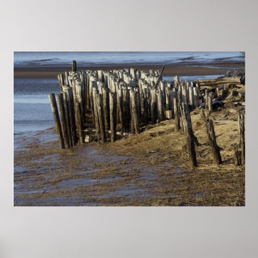 Verweerd en versleten poster (Voorkant)