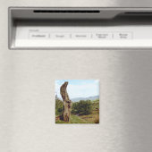 Verweerde boom in UK Peak District Magneet (Insitu (Vaatwasser))