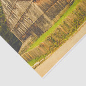 Verweerde Momma Barn met Haar Baby Barn Tissuepapier (Detail)