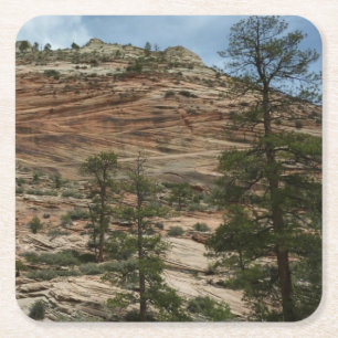 Verweerde rotswanden in Zion National Park Kartonnen Onderzetters