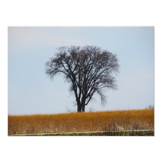 "Verwekt in bloedvergieten" Fotoprint Foto Afdruk (Voorkant)