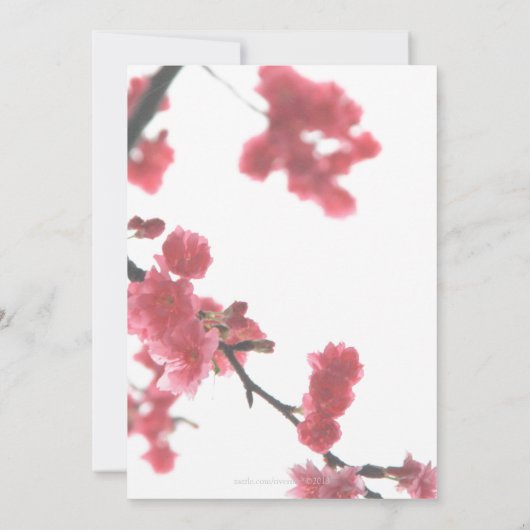 verwelkomend lente Sakura Double Happiness Wedding Kaart (Achterkant)