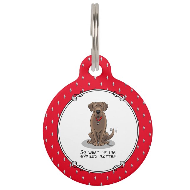 Verwende chocoladebruine Lab Labrador Retriever Huisdierpenning (Voorkant)