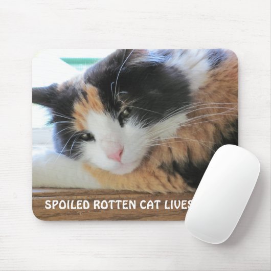 Verwende rotte kat woont hier muismat (Met muis)