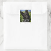 verwende zwarte Duitse herder Vierkante Sticker (Tas)