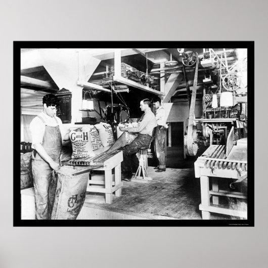 Verwerking C & H-suiker 1914 Poster (Voorkant)