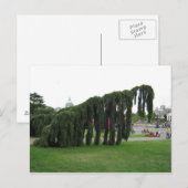 Verwerpen van een horrorfilm? briefkaart (Voorkant / Achterkant)