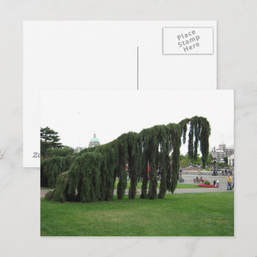 Verwerpen van een horrorfilm? briefkaart (Voorkant / Achterkant)