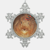 Verwerping van Bunny Rabbit Ornament (Voorkant)