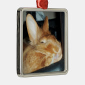Verwerping van 'Bunny Rabbit Smiling Ornament' Metalen Ornament (Rechts)