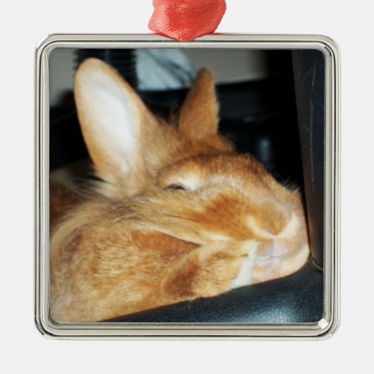 Verwerping van 'Bunny Rabbit Smiling Ornament' Metalen Ornament (Voorkant)