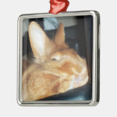 Verwerping van 'Bunny Rabbit Smiling Ornament' Metalen Ornament (Links)