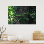 Verweven boomafdruk poster (Keuken)