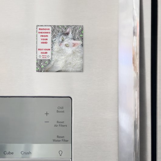 Verwijder de knikken uit je hoofd, niet je haar magneet (Insitu (Koelkast))